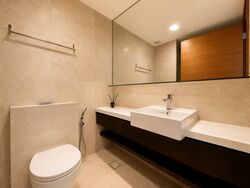 Skysuites@Anson (D2), Apartment #588227441